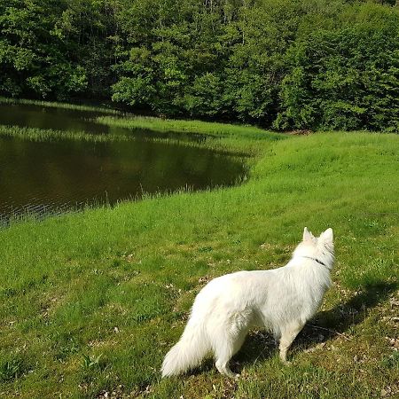 Gite Le Domaine D Orphee Marmagne  Exteriör bild