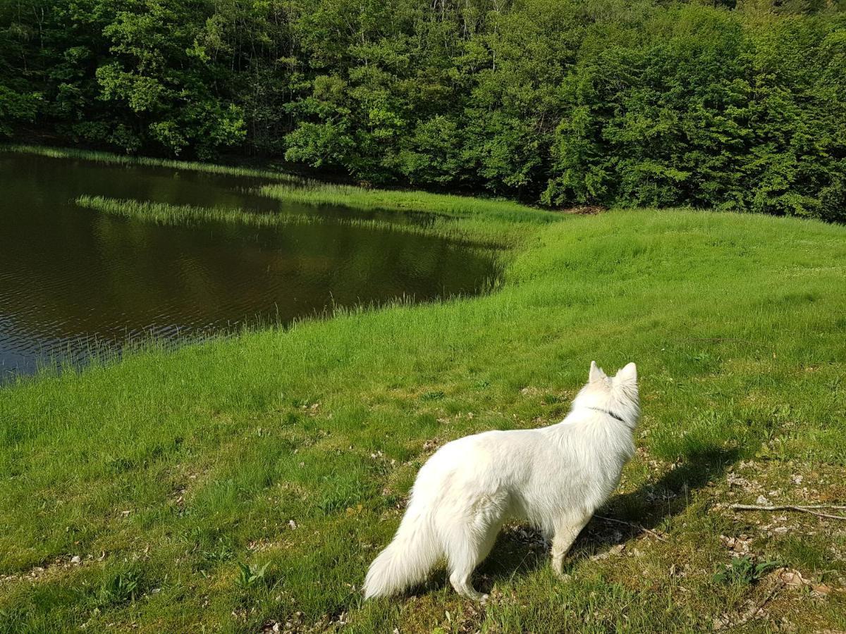 Gite Le Domaine D Orphee Marmagne  Exteriör bild