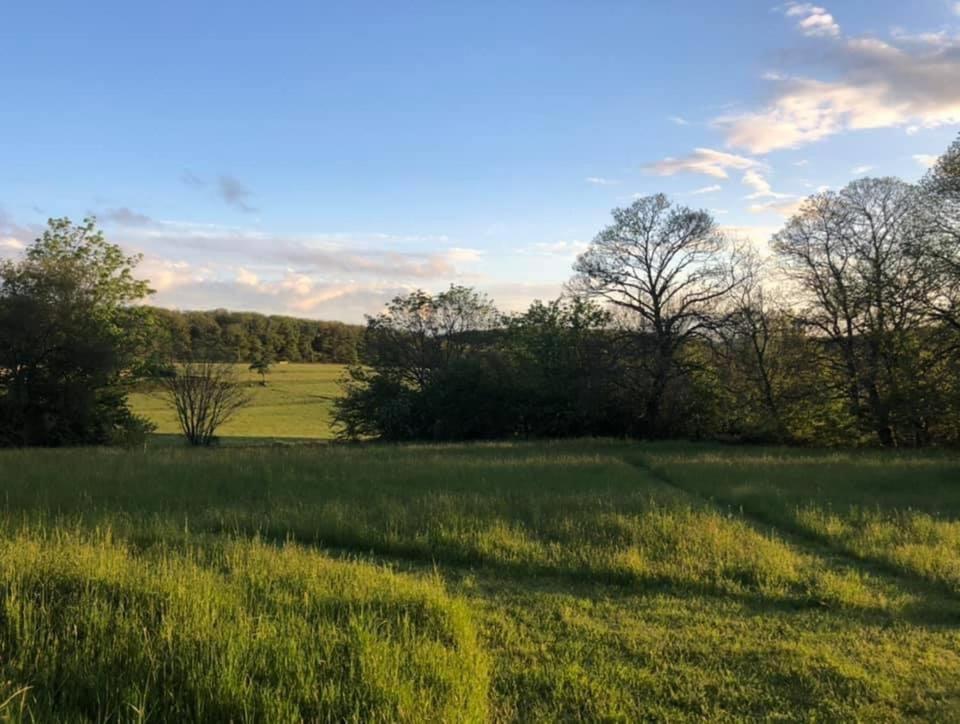 Gite Le Domaine D Orphee Marmagne  Exteriör bild