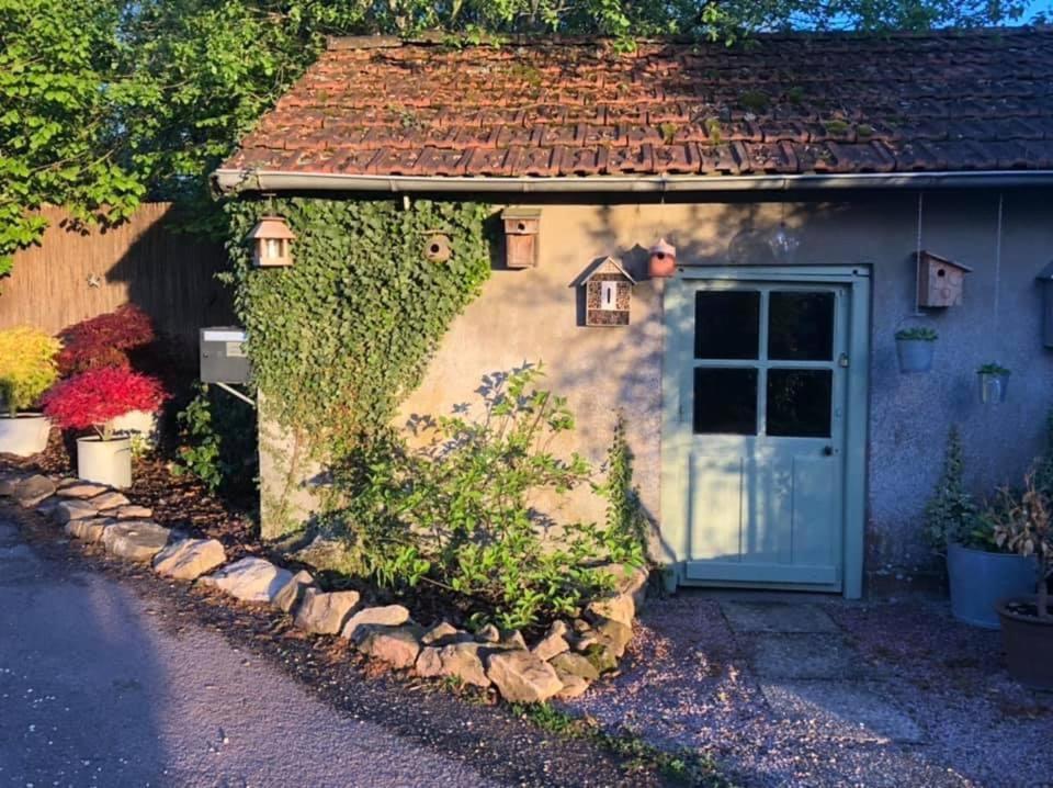 Gite Le Domaine D Orphee Marmagne  Exteriör bild